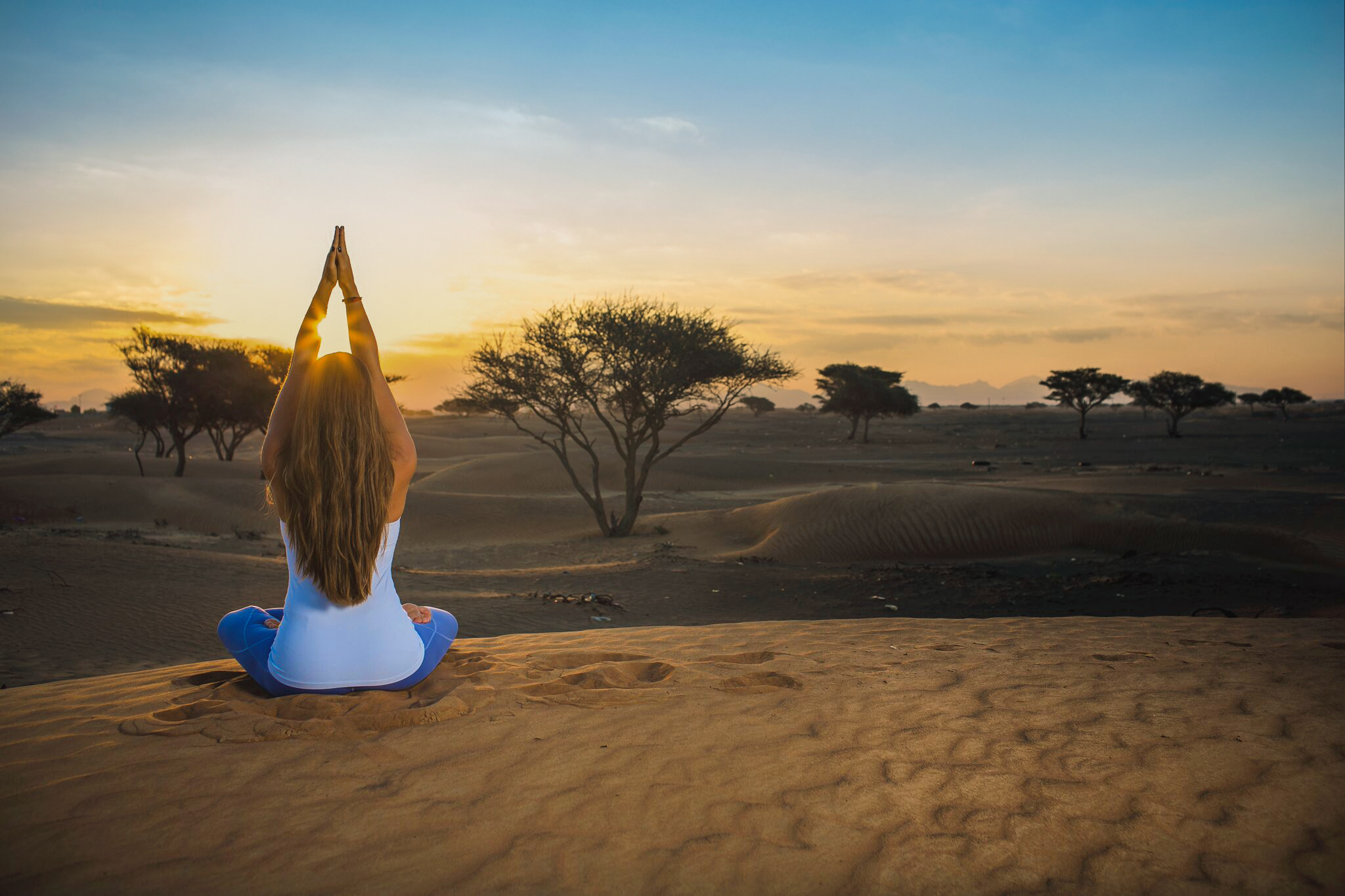 <span>Wellness Series</span> Events